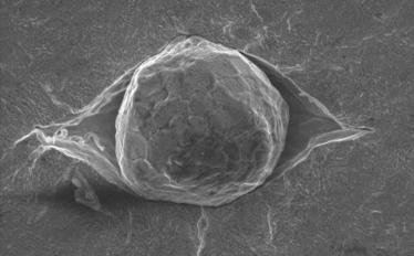 FA 21 Gefüge und mechanische Eigenschaften